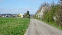  Blick auf die Wanderstrecke nach W�rth 